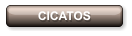 CICATOS